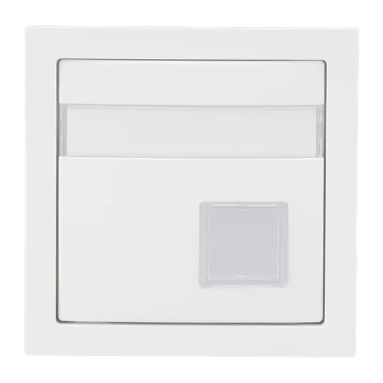 Busch-Jaeger 2CKA001582A0445 Zentralscheibe mit Beschriftungsfeld Busch-Infoline® Taster 1-fach studioweiß