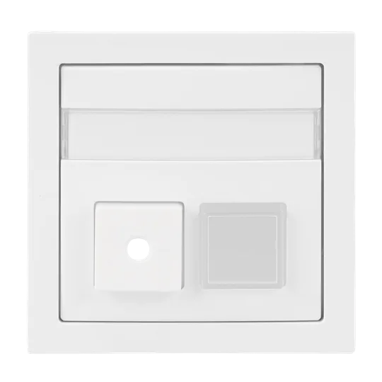 Busch-Jaeger 2CKA001582A0447 Zentralscheibe 2-fach Infoline Busch-art linear®