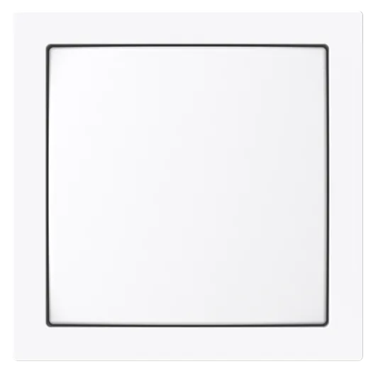 Busch-Jaeger 2CKA001582A0451 Zentralscheibe für Netzteileinsatz Busch-art linear®
