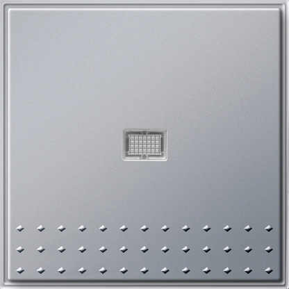 Gira 012065 Taster Wechsler gerade Kontrollfenster Gira TX_44 (WG UP) alu lackiert