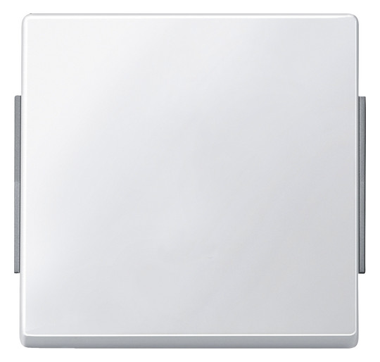 Merten 343119 AQUADESIGN Wippe polarweiß
