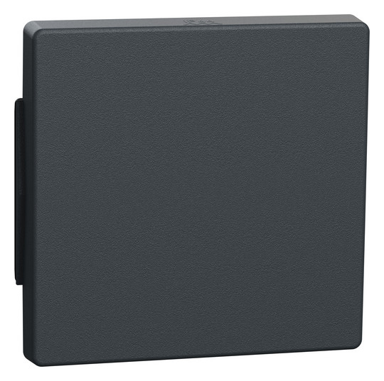 Merten 343114 AQUADESIGN Wippe anthrazit
