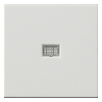 Gira 029827 Wippe Kontrollfenster groß System 55 reinweiß seidenmatt