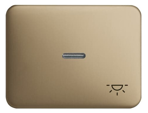 Busch-Jaeger 1789LI-21 alpha nea Wippe Licht bronze 2CKA001751A1724