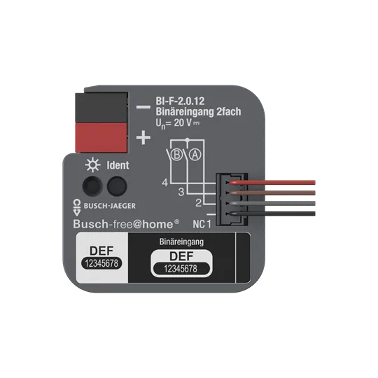 Busch-Jaeger 2CDG510023R0021 Binäreingang, 2fach, UP mit Kontaktabfragespannung für Busch-free@home®