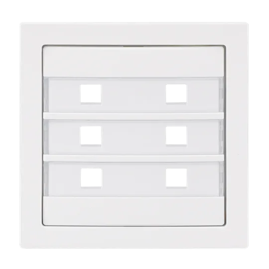 Busch-Jaeger 2CKA001582A0449 Zentralscheibe 6-fach beleuchtbar Busch-art linear®