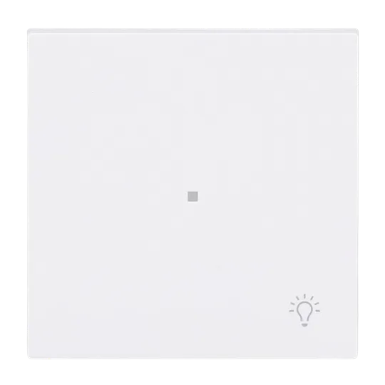 Busch-Jaeger 2CKA006220A0928 Wippe mit Aufdruck Symbol "Licht" mit kleiner transparenter Kalotte 1-fach