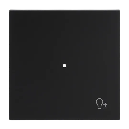 Busch-Jaeger 2CKA006220A0935 Wippe 1-fach, mit Symbol "Dimmer" Busch-art linear® schwarz matt