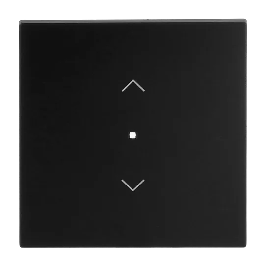 Busch-Jaeger 2CKA006220A0939 Wippe Symbol "Jalousie" mit kleiner transparenter Kalotte 1-fach schwarz matt