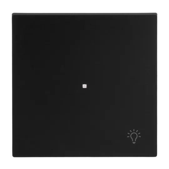 Busch-Jaeger 2CKA006220A0931 Wippe mit Aufdruck Symbol "Licht" mit kleiner transparenter Kalotte 1-fach