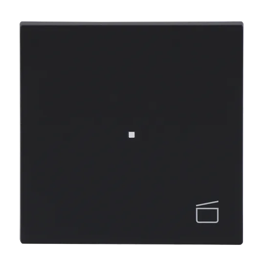 Busch-Jaeger 2CKA006220A0943 Wippe Symbol "Szene" mit kleiner transparenter Kalotte 1-fach schwarz matt