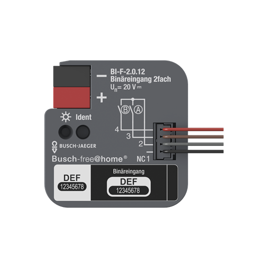 Busch-Jaeger 2CDG510023R0021 Binäreingang, 2fach, UP mit Kontaktabfragespannung für Busch-free@home®