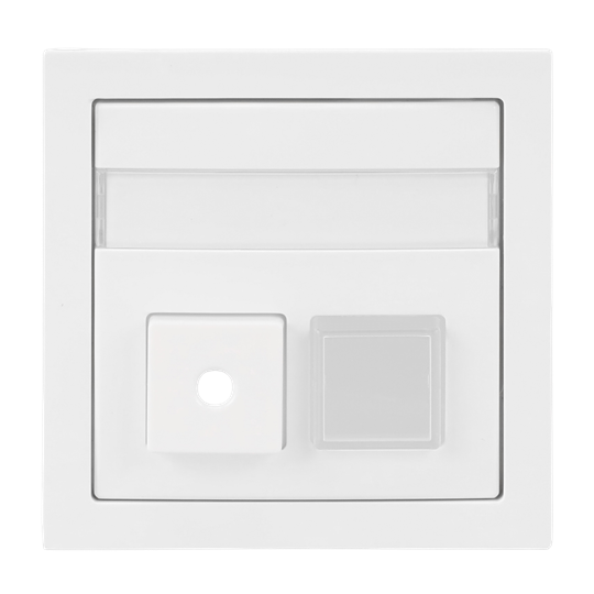 Busch-Jaeger 2CKA001582A0447 Zentralscheibe 2-fach Infoline Busch-art linear®