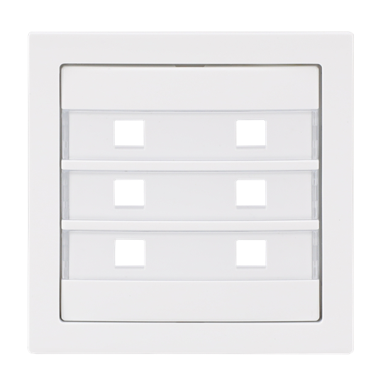 Busch-Jaeger 2CKA001582A0449 Zentralscheibe 6-fach beleuchtbar Busch-art linear®