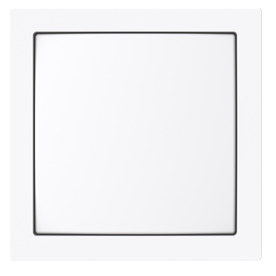 Busch-Jaeger 2CKA001582A0451 Zentralscheibe für Netzteileinsatz Busch-art linear®