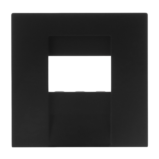 Busch-Jaeger 2CKA001710A4165 Zentralscheibe Multimedia 1-fach Busch-art linear® Busch-art linear® schwarz
