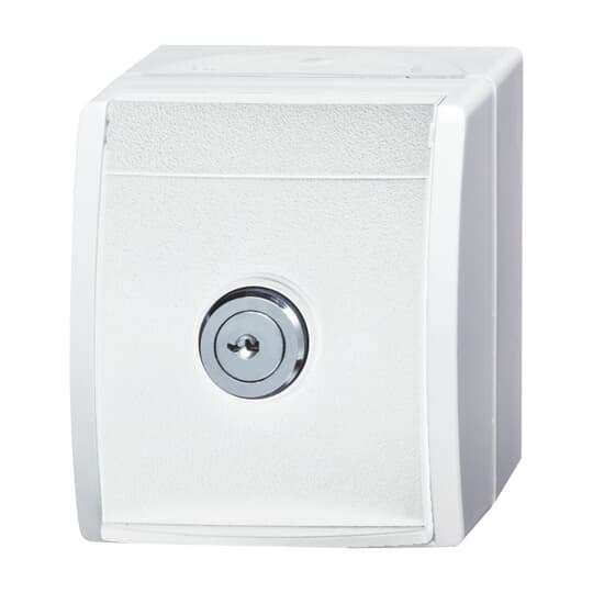 Busch-Jaeger 2CKA002083A0833 SCHUKO® Steckdose mit Klappdeckel und abschließbar, gleich schließend 16 A