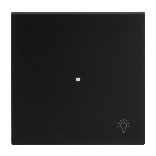 Busch-Jaeger 2CKA006220A0931 Wippe mit Aufdruck Symbol "Licht" mit kleiner transparenter Kalotte 1-fach