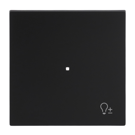 Busch-Jaeger 2CKA006220A0935 Wippe 1-fach, mit Symbol "Dimmer" Busch-art linear® schwarz matt