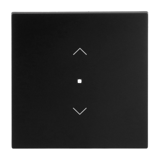 Busch-Jaeger 2CKA006220A0939 Wippe Symbol "Jalousie" mit kleiner transparenter Kalotte 1-fach schwarz matt