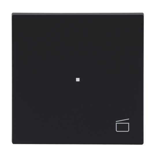 Busch-Jaeger 2CKA006220A0943 Wippe Symbol "Szene" mit kleiner transparenter Kalotte 1-fach schwarz matt